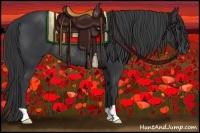 Horse Color:Black Rabicano 