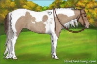Horse Color:Classic Champagne Roan Tobiano 