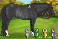 Horse Color:Black Rabicano 