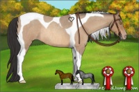 Horse Color:Sable Champagne Roan Tobiano Rabicano