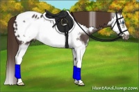 Horse Color:Liver Red Roan Splash Frame Appaloosa 