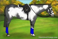 Horse Color:Black Frame 