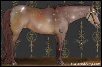 Horse Color:Chocolate Brown Varnish Rabicano 