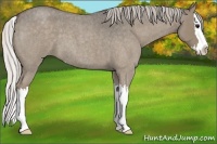Horse Color:Silver Grullo Roan Sabino Splash 