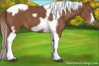 Horse Color:Chestnut Splash Tobiano Frame