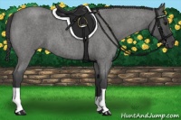 Horse Color:Smoky Blue Roan 