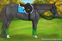 Horse Color:Smoky Black Appaloosa 