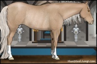 Horse Color:Silver Black Pearl Rabicano 