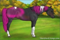 Horse Color:Brown Tobiano 