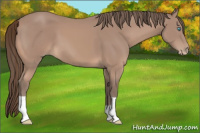Horse Color:Gray Perlino 