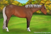 Horse Color:Silver Brown 
