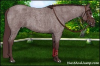 Horse Color:Chocolate Blue Roan 