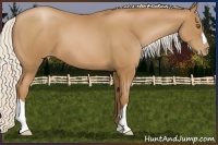 Horse Color:Chocolate Silver Black Pearl 