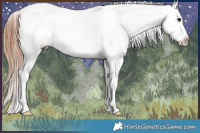 Horse Color:Blue Roan Tobiano Varnish