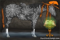 Horse Color:Smoky Black 