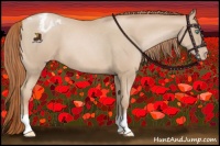 Horse Color:Smoky Black Pearl Appaloosa 