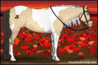 Horse Color:Sable Cream Champagne Roan Dun Tobiano 