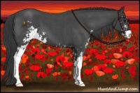 Horse Color:Smoky Blue Roan Sabino