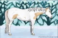 Horse Color:Silver Amber Champagne Splash Tobiano 