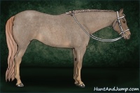 Horse Color:Chocolate Palomino Roan