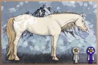 Horse Color:Smoky Creme Dun Appaloosa 