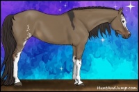 Horse Color:White Spotted Liver Red Dun 