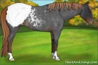 Horse Color:Liver Red Roan Snowcap 