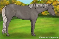 Horse Color:Silver Black 
