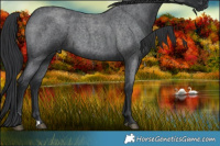 Horse Color:Blue Roan 
