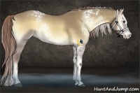 Horse Color:White Spotted Chocolate Palomino Onyx Splash Rabicano