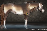 Horse Color:White Spotted Liver Red Onyx Sabino Rabicano
