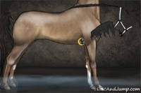 Horse Color:Liver Red Dun 
