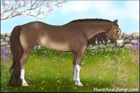 Horse Color:Liver Chestnut Sabino Varnish 