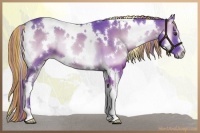 Horse Color:Painted Watercolor White Spotted Chocolate Palomino Onyx