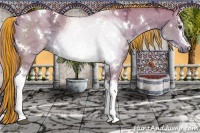 Horse Color:Painted Watercolor White Spotted Liver Red Dun Ice Rabicano 