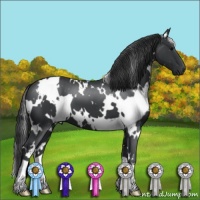 Horse Color:White Spotted Black