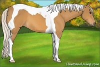 Horse Color:Silver Buckskin Tobiano