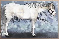 Horse Color:Plaid Brown Onyx Sabino Rabicano