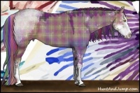 Horse Color:Painted Plaid Liver Red Dun Sabino