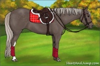 Horse Color:Silver Black 
