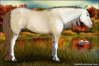 Horse Color:White Spotted Liver Red Dun Pearl