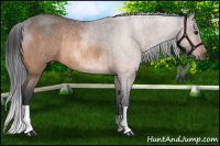 Horse Color:Buckskin Roan Rabicano