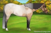Horse Color:Brown Roan Dun Rabicano Brindle