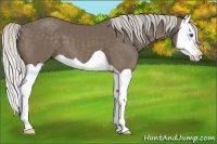 Horse Color:Silver Smoky Black Splash 