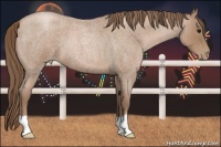 Horse Color:Blue Roan Pearl 