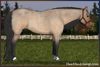 Horse Color:Brown Roan Dun Rabicano Brindle 