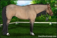 Horse Color:Brown Roan Dun Brindle 