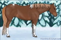 Horse Color:Chestnut Tobiano