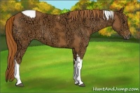 Horse Color:Chestnut Ice Tobiano 