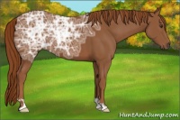 Horse Color:Chestnut Ice 